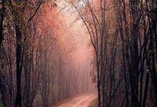 雷火电竞官网-关于拉齐奥击败帕尔马，豪取三连胜的信息