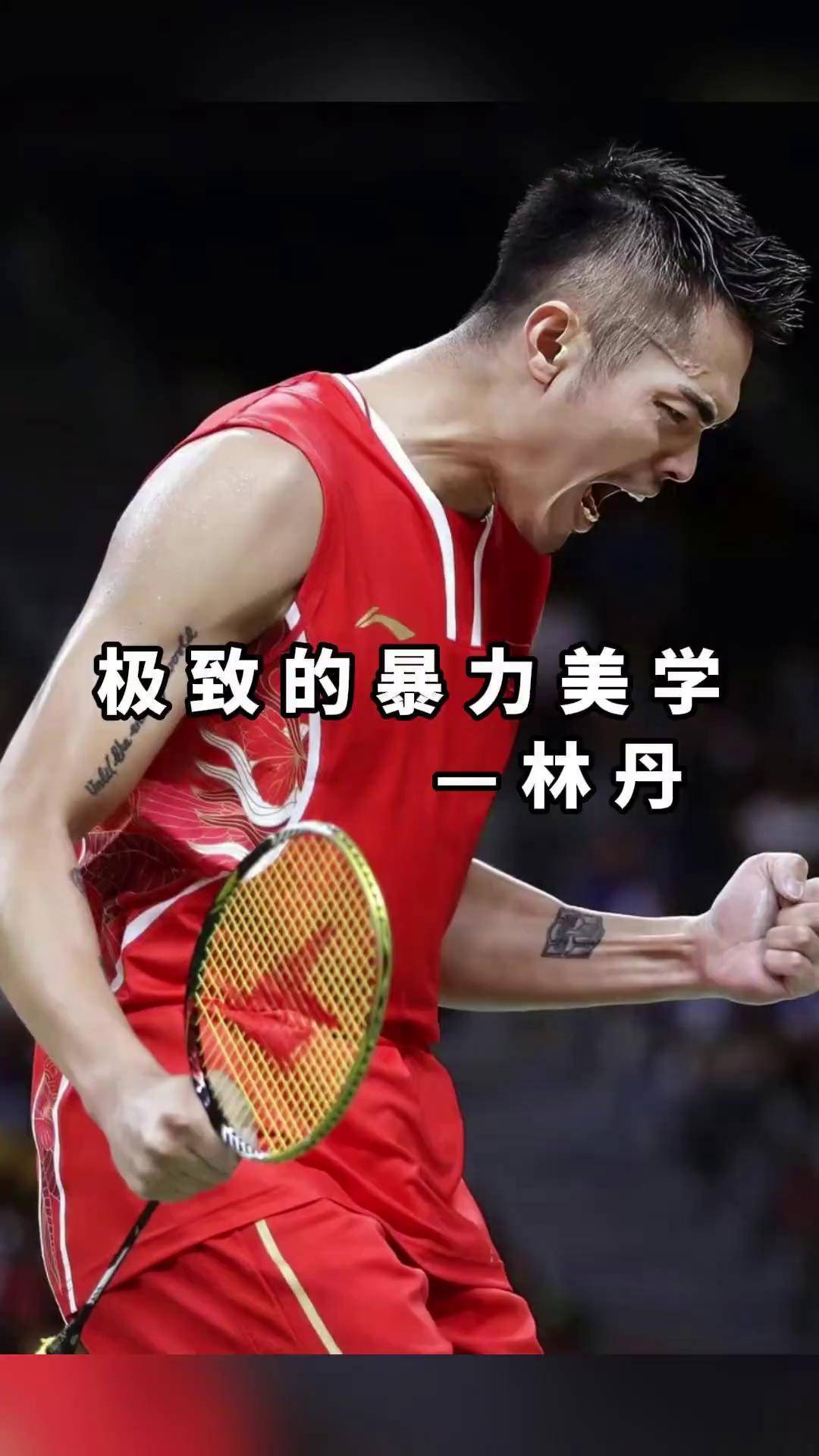 日本羽毛球队强势马来西亚羽毛球队，林丹制霸全场的简单介绍