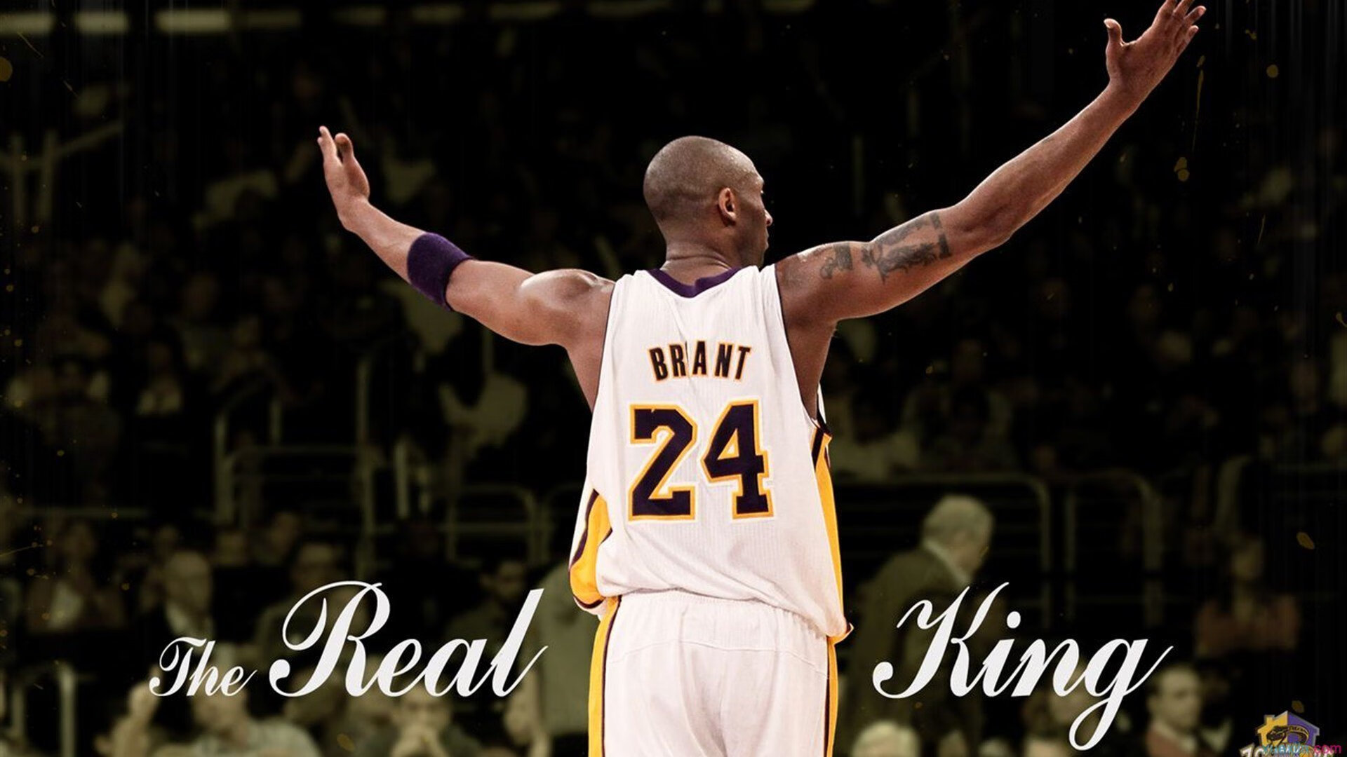 世界排名争夺战之夜，西亚卡姆连续得分拉开差距，改写联盟格局